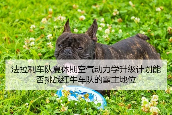 法拉利车队夏休期空气动力学升级计划能否挑战红牛车队的霸主地位